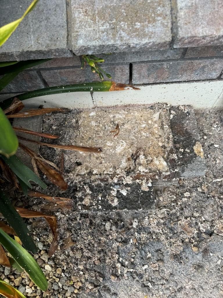 drain pipe blocked by fatbergs