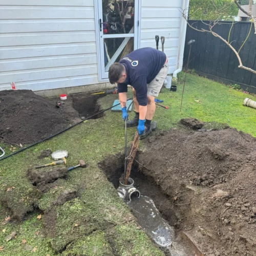 plumber removing tree root from drain pipe that was causing blockage
